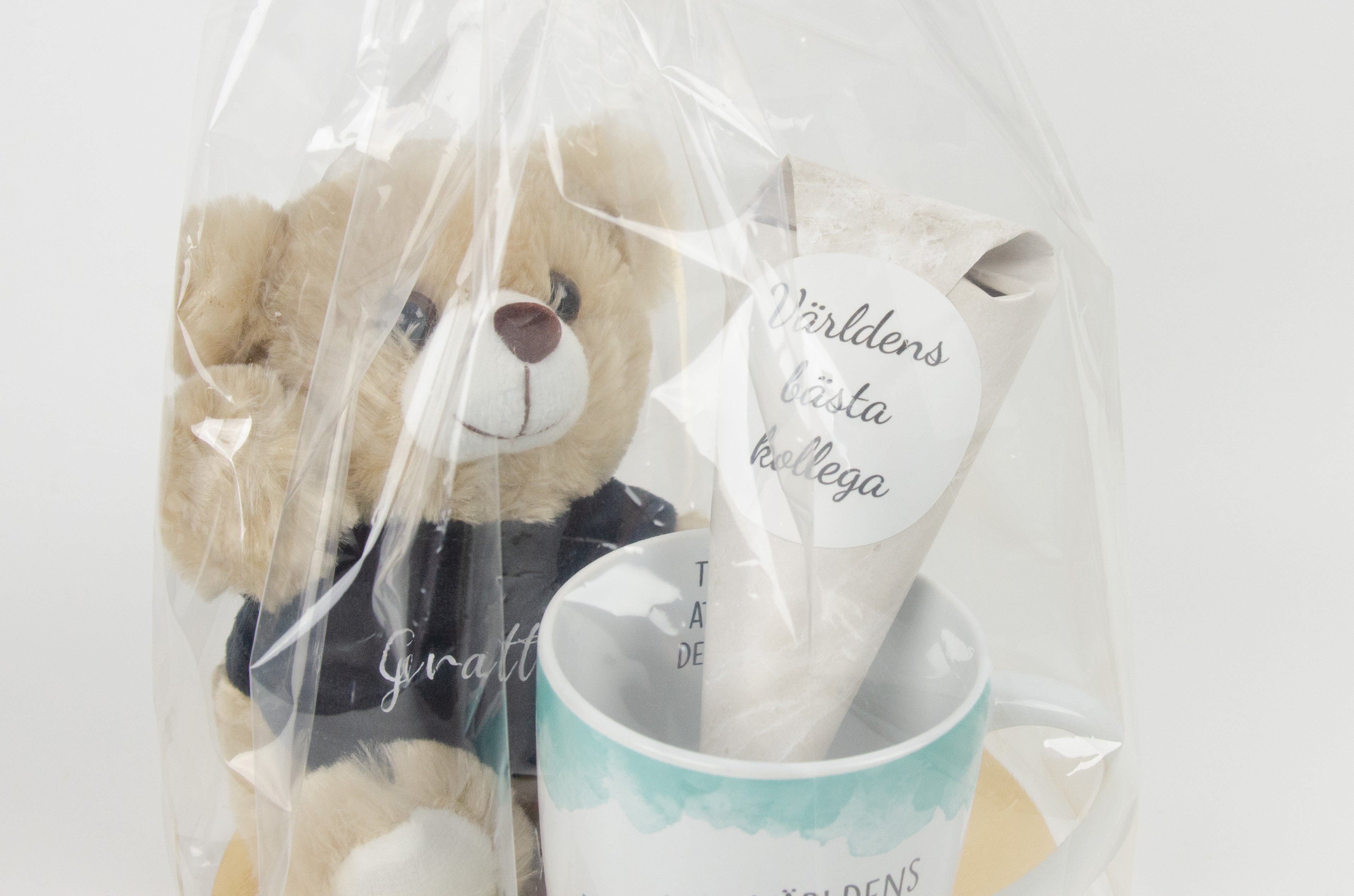 Världens bästa kollega | Teddy present kit